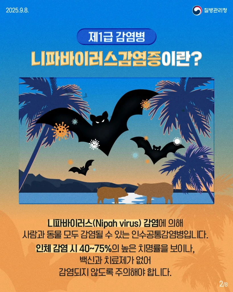 니파바이러스감염증에 의해 사람과 동물 모두 감염될 수 있는 인수공통감몀병입니다. 