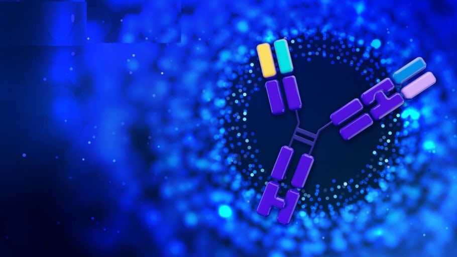 바이오 이중항체