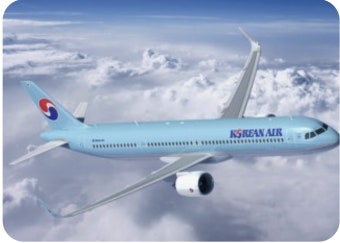 여객·화물·부대사업을 모두 영위하는 국내 대표 FSC